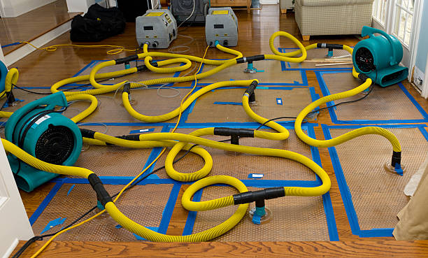 Professional Flood Damage Restoration technician working in Haslet, TX